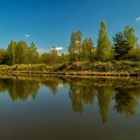 Майское утро IV :: Андрей Дворников
