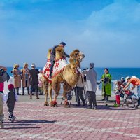 На берегу :: Анатолий Чикчирный На берегу :: Анатолий Чикчирный