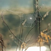 Сеть готова :: Валерий Иванович Сеть готова :: Валерий Иванович