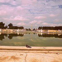 Париж. :: Владимир Драгунский Париж. :: Владимир Драгунский