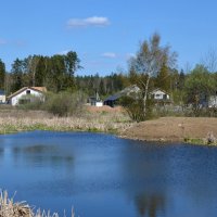 Московская область. г. Пушкино. Осетровая ферма. :: Наташа *****