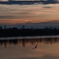 Вечер :: Андрей 