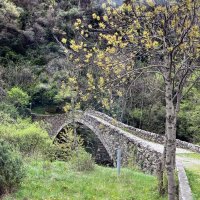 Красивый мост 14 века / Wunderschöne Brücke aus dem 14. Jahrhundert :: "The Natural World" Александер