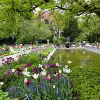 Уютный дворик... :: Галина 