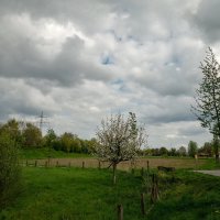 Вокруг города... :: Николай Гирш