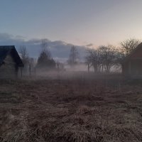 Вечерний туман :: Юрий Пучков