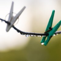 Дождь :: Александр 