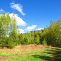 Весенние дорожки :: Андрей Снегерёв