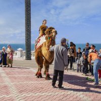 На берегу :: Анатолий Чикчирный