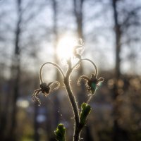 2 в 1 :: Lyubov Busova