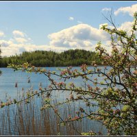 Весна :: Aleksandr Gal