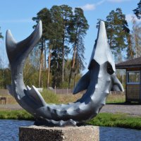 Московская область. г. Пушкино. Осетровая ферма. :: Наташа *****