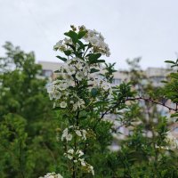 ,,, :: Сергей Тимоновский