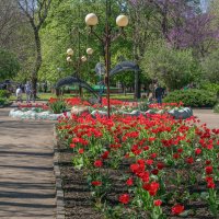 Городской парк :: Игорь Сикорский Городской парк :: Игорь Сикорский