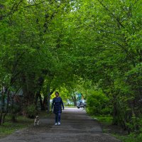 ***** :: юрий поляков ***** :: юрий поляков