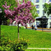 В парке Горка. :: Василий Палий