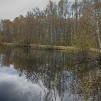 Весна в парке Сосновка. :: Лилия *