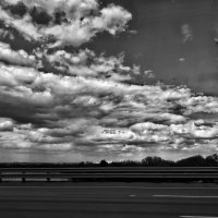 **** :: Алексей Архипов