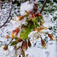 2 мая 2025г. Врасплох... :: veilins veilins 2 мая 2025г. Врасплох... :: veilins veilins