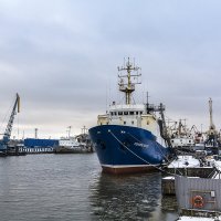 Калининград :: Дмитрий 