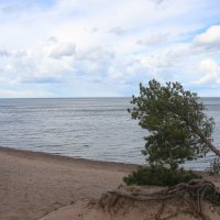 Ладожское Озеро :: Наталья Герасимова