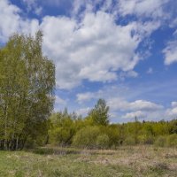 Под небом мая... :: Владимир Жданов Под небом мая... :: Владимир Жданов