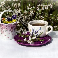 Завтрак на природе :: Людмила Павловна Крышковец