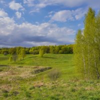 Зелёный май... :: Владимир Жданов