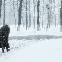 В парке городском... :: Владимир Шошин В парке городском... :: Владимир Шошин