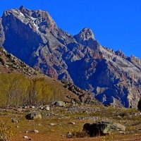 ПО ДОРОГЕ ДОМОЙ. :: Виктор Осипчук ПО ДОРОГЕ ДОМОЙ. :: Виктор Осипчук