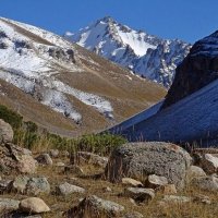 ПО ДОРОГЕ ДОМОЙ. :: Виктор Осипчук