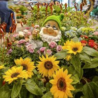 В магазине :: Валерий Иванович