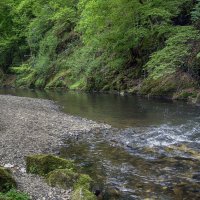 ****** :: Андроник Александр 