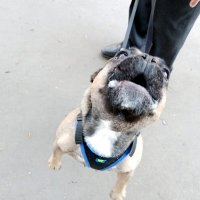 Узнал... :: Владимир Драгунский Узнал... :: Владимир Драгунский