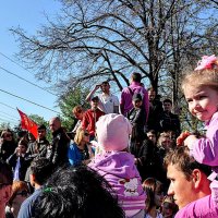 Сегодня мы не на параде ...) :: Анатолий Колосов