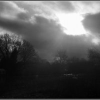 Лучь света.... :: Aleksandr Gal