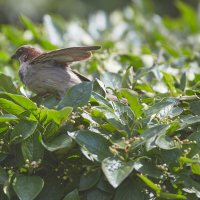 Вам - туда! :: Олег Манаенков