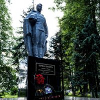 Ты же выжил, солдат! :: Дмитрий Печенкин