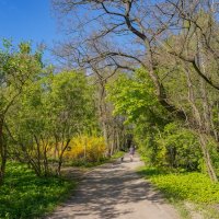 В весеннем парке... :: Владимир Жданов В весеннем парке... :: Владимир Жданов