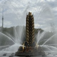 Золотой колос :: <<< Наташа >>>