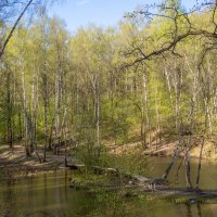 ___ :: Yuriy V ___ :: Yuriy V