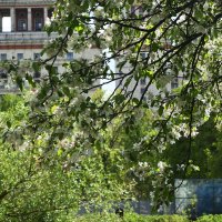 Весна в Ботаническом... :: Наташа *****