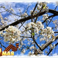 Голубого неба над головой ! :: Лия ☼ Голубого неба над головой ! :: Лия ☼