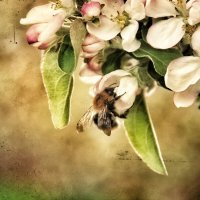 ..... :: Руслан ..... :: Руслан