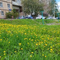 ,,, :: Сергей Тимоновский