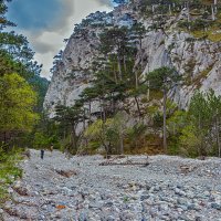 По руслу высохшей реки :: Юрий Яловенко