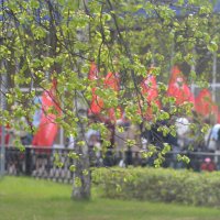 9 мая 2025 :: Алексей Короткевич