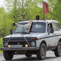 Бойся враг. :: Евгений Голубев