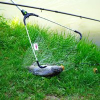 На рыбалке :: Татьяна Тюменка