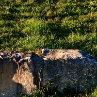 Весенние зарисовки 123 :: Алексей Кузнецов